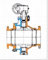 Trunnion Ball Valve 2