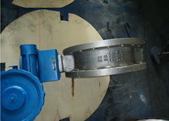 butterfly valve