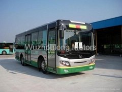 City bus, intercity bus
