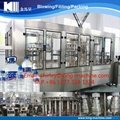 Automatic Mineral / Pure Water Bottling Plant 1