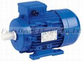 Single Phase Aluminium Electric Motor (MS) 2