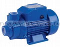 Electric Water Pump  1