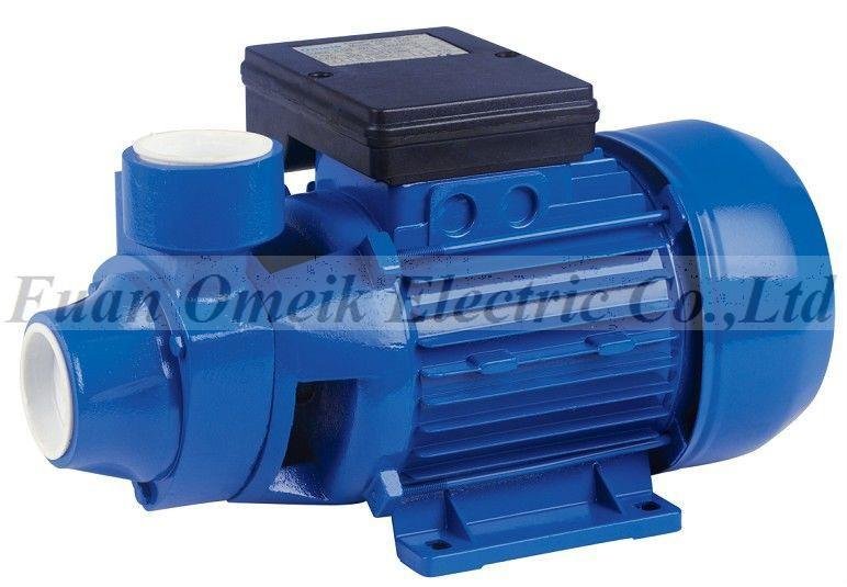 Electric Water Pump  2