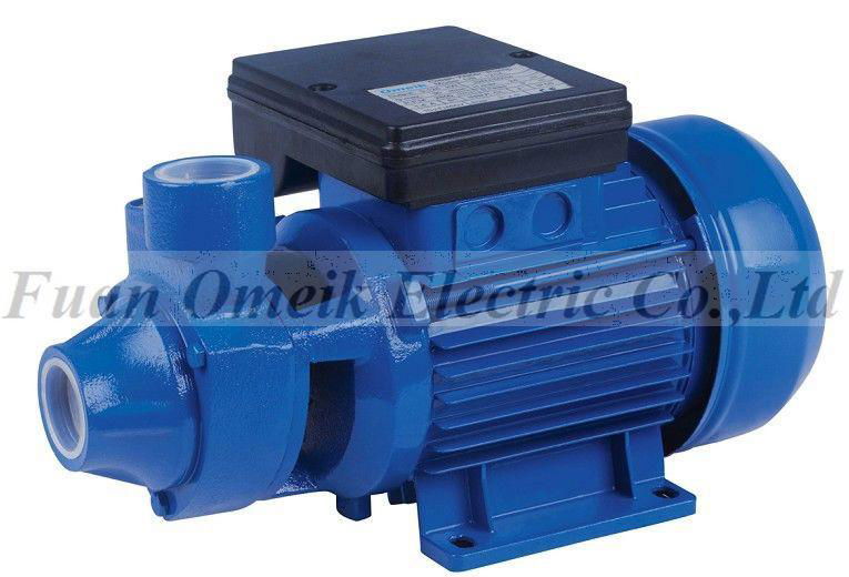 Electric Water Pump  3