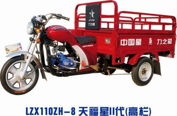 three wheel motorcycle for cargo 3