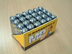 R6P/AA Size Battery