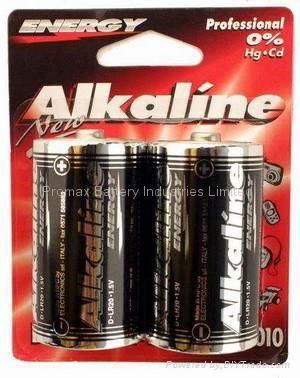 Pilas Alcalinas LR20 Battery(D size/ AM1) MN1300