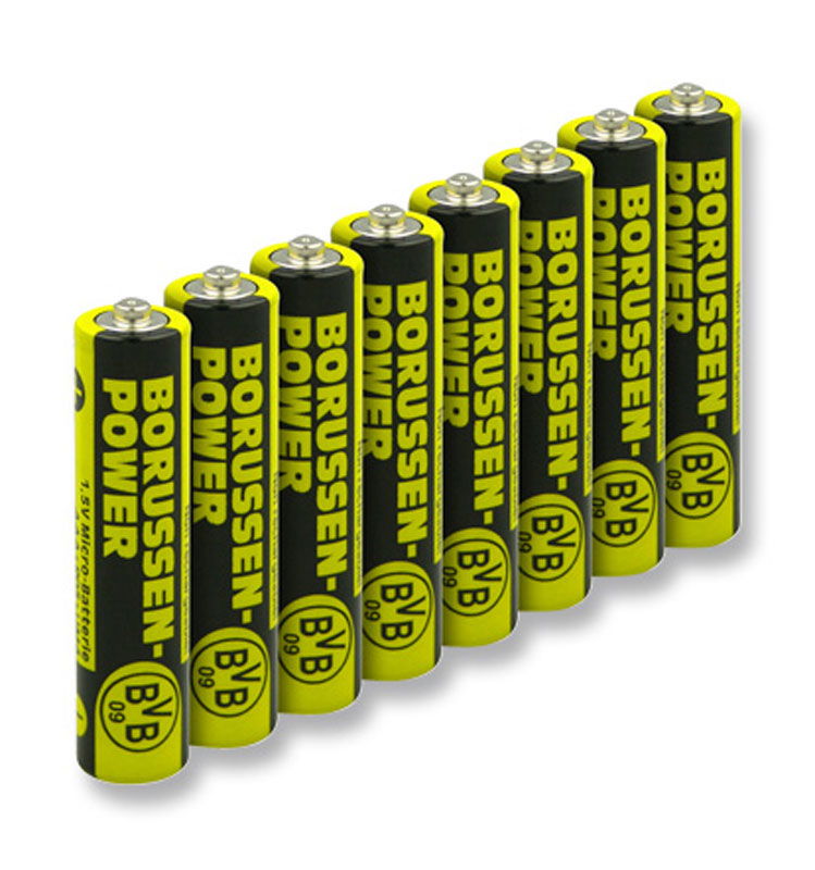 Extra Long Life AAA Batteries with your private label