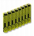 Extra Long Life AAA Batteries with your private label