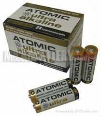 Alkaline AA/LR6 Battery