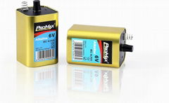4LR25X Alkaline Battery MN908 / 908A / EN529