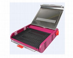 Camping Or Home Use Portable Gas BBQ 