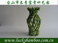 lucky bamboo---vase 1