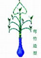 lucky bamboo---heart shape bamboo