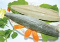  IQF Spanish Mackerel Fillets