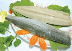 IQF Spanish Mackerel Fillets