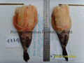 Frozen Monkfish H/G 2