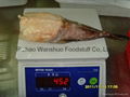 Frozen Monkfish H/G 3