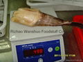 Frozen Monkfish H/G 4