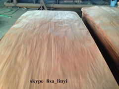 Manufacturer of 0.5mm thickness Red oak