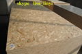 OSB BOARD/OSB 3/waterproof osb/building materials for house 1