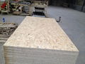 Construction Grade OSB1/OSB2/OSB3/OSB Plates 1