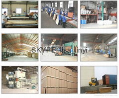 Linyi Haoyang International Trade Co.,Ltd,