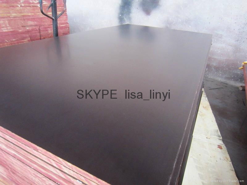 reusable marine plywood for concrete formwork 4