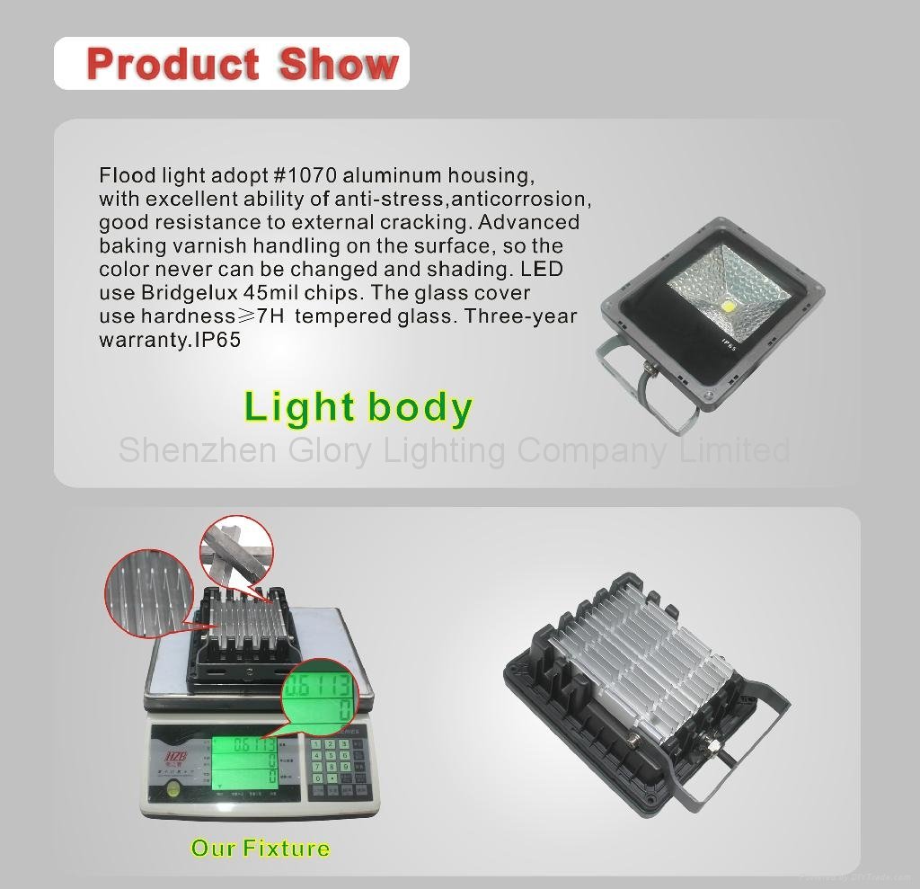 Ultra bright 10W high power LED floodlight for garden lighting