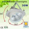 COB Trunk downlight LED Lighting 30W