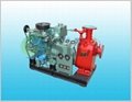 CWY diesel engine pump