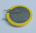 CR2430 Lithium Button Cell