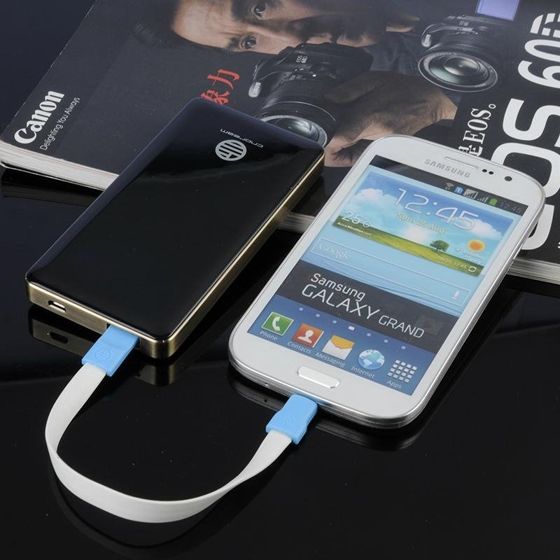 5500mAh Lithium-Ion Polymer OLED Power Bank for iPhone 4
