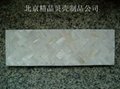decorative shell  tile