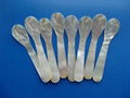 Factory Supply various size and shapes caviar spoon 100pcs min 1