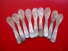 Factory Supply various size and shapes caviar spoon 100pcs min