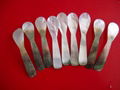 Factory Supply various size and shapes caviar spoon 100pcs min 4