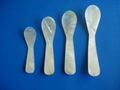 Factory Supply various size and shapes caviar spoon 100pcs min 4