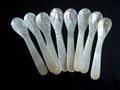 Factory Supply various size and shapes caviar spoon 100pcs min 5