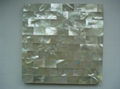 shell tile