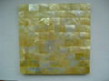 shell tile