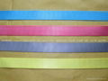 nylon webbing strap 2