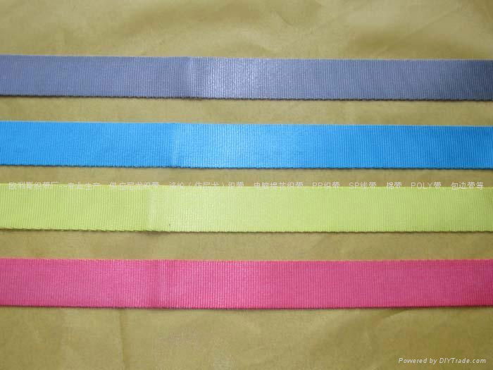 Polyester webbing sling 2