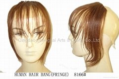 human hair bangs