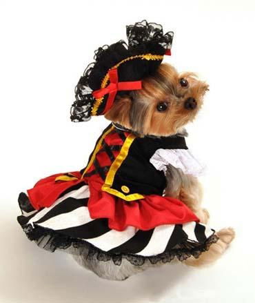 Pet costumes Pirate Girl Dog Costume New for 2011