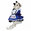 Pet Costume Alice Dog Costume 1