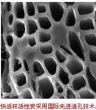 特種高比表面積活性碳