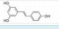 Herb Extracts Resveratrol /CAS: 501-36-0