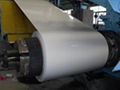 PPGI Steel coil 1