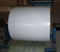 prepainted galvanized steel sheet